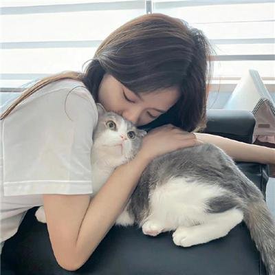 卧虎传说